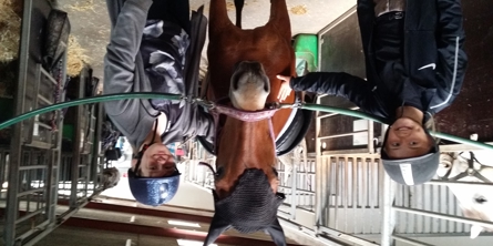 Piger i en stald med en hest