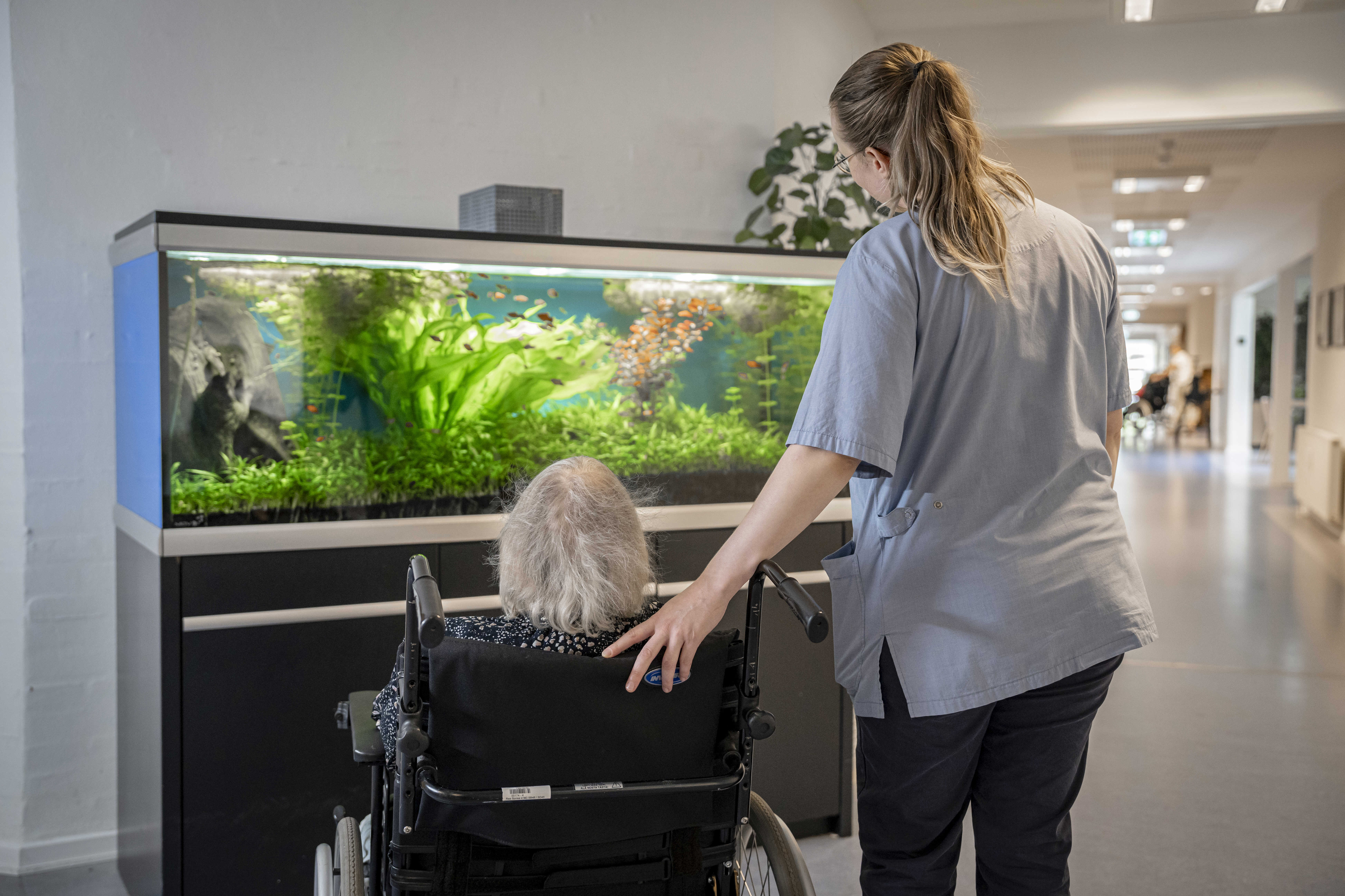 Medarbejder og beboer på Bøgely Plejehjem. De kigger på fisk i et akvarium.