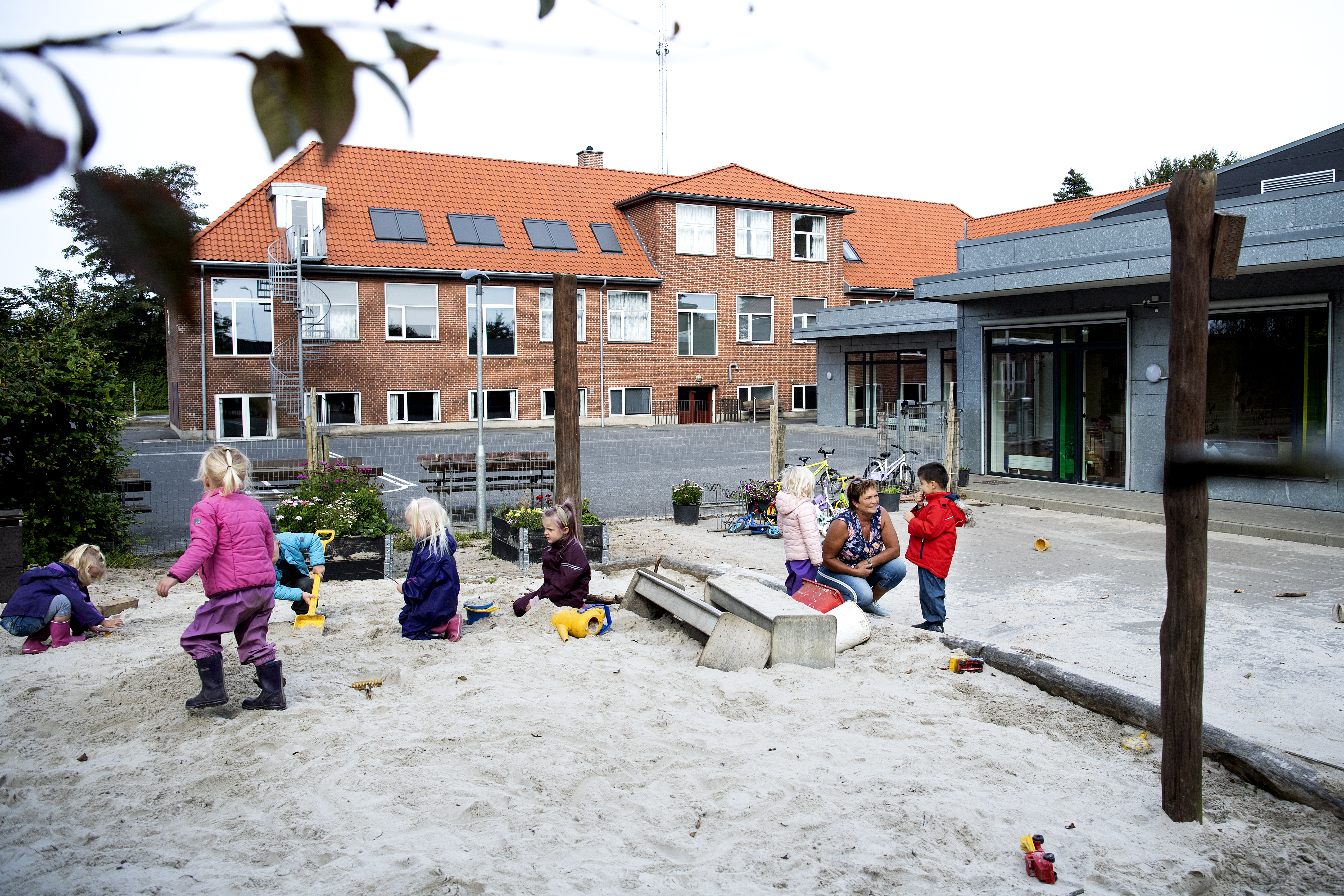 Børnehave hygger i naturen med leg og sang mens pædagog spiller på guitar