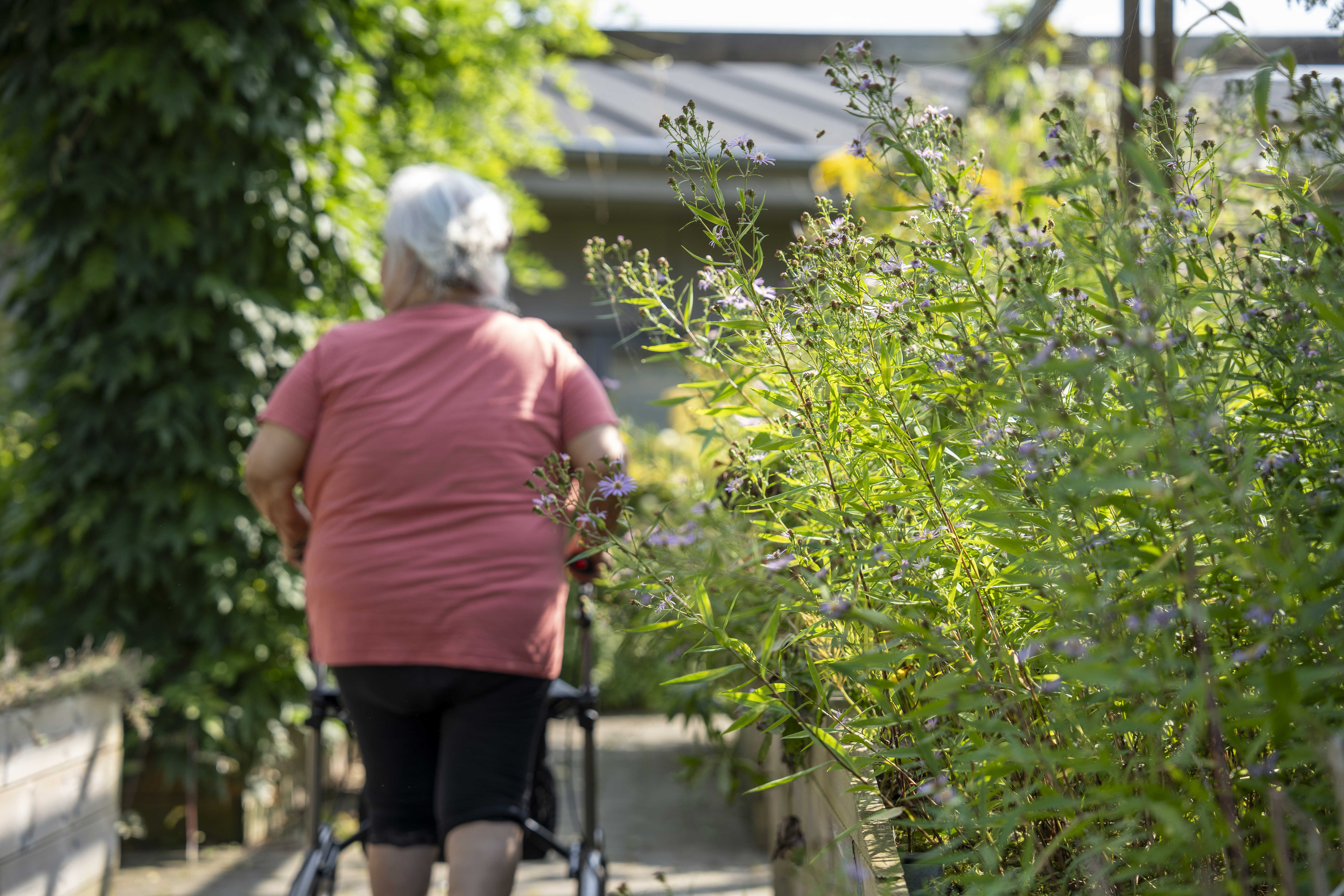 Blomster og beboer på gåtur i haven på Bøgely Plejehjem