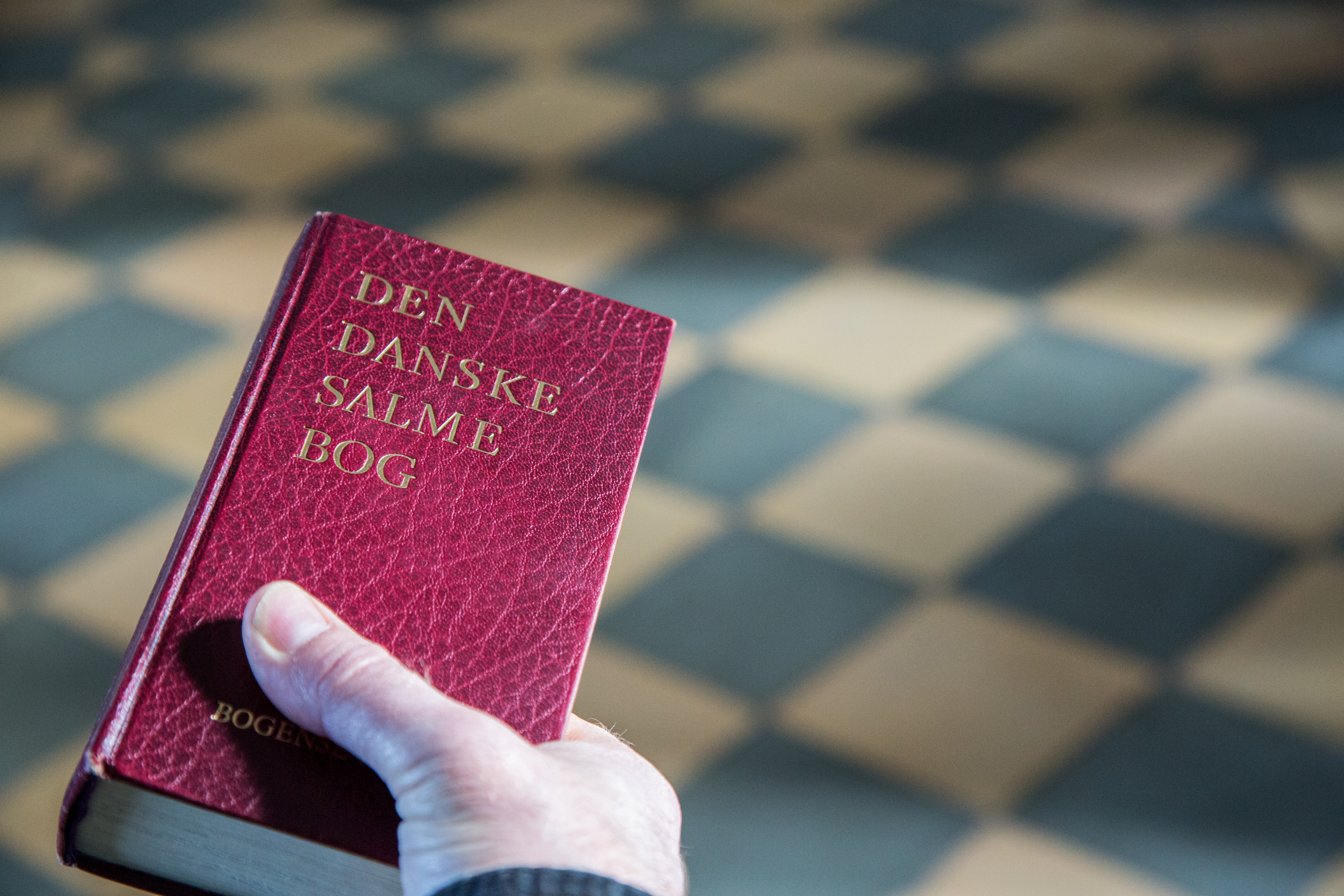 Den Danske Salme Bog